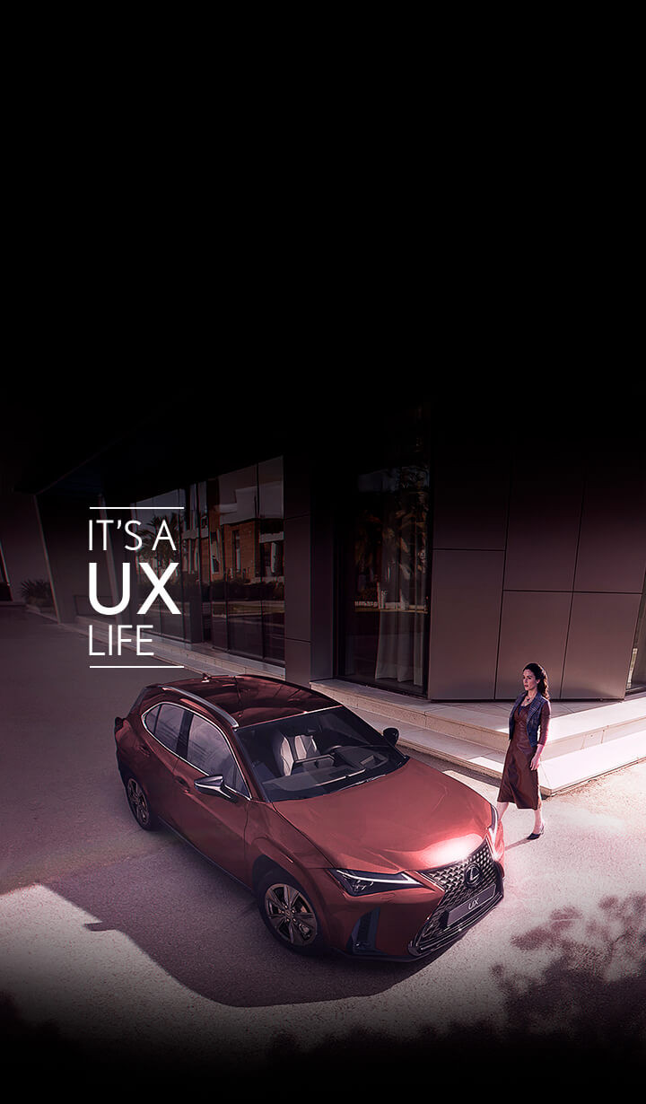 UX 300h Luxury